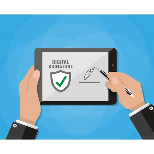 https://synergy.vistashopee.com/*Digital Signature in TallyPrime*