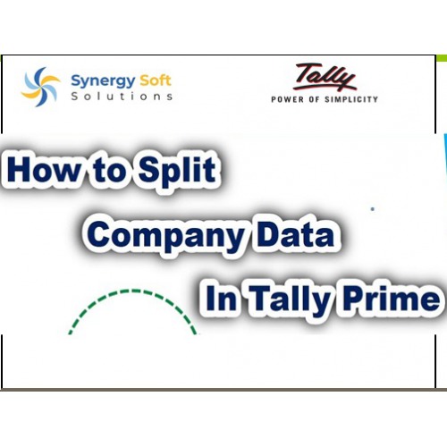 https://synergy.vistashopee.com/Split Company Data