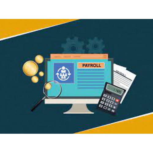 https://synergy.vistashopee.com/Payroll : Salary, PF, ESI