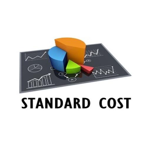 https://synergy.vistashopee.com/Standard Cost (Purchase Price )