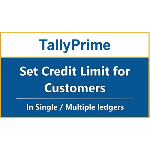 https://synergy.vistashopee.com/Set Credit limit