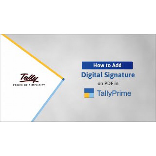 https://synergy.vistashopee.com/Tally Prime 2.1 - DSC