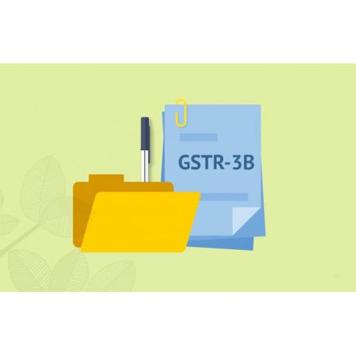 https://synergy.vistashopee.com/GSTR3B