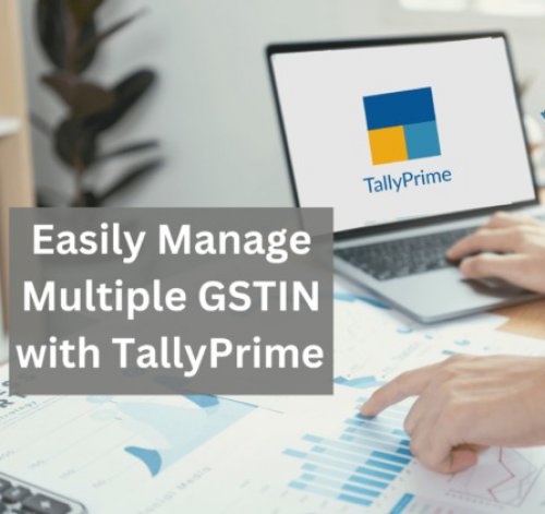 https://synergy.vistashopee.com/Manage Multi GSTN - Single Tally Company