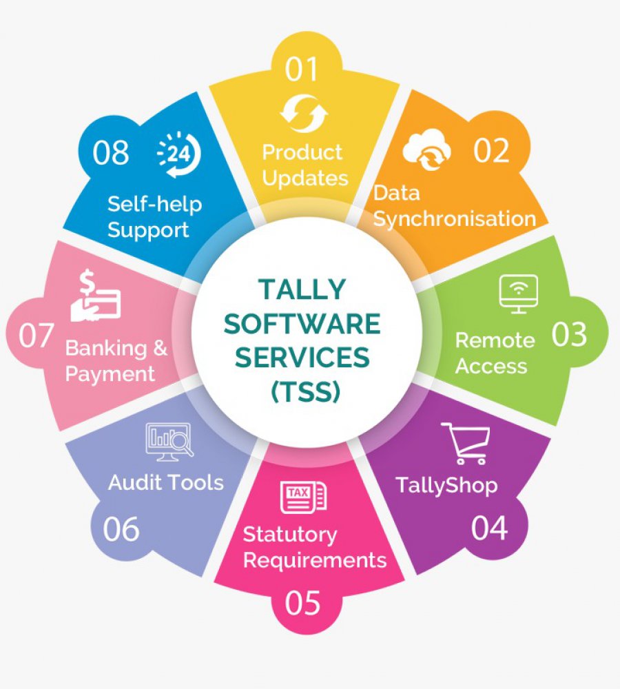 Tally Software Service