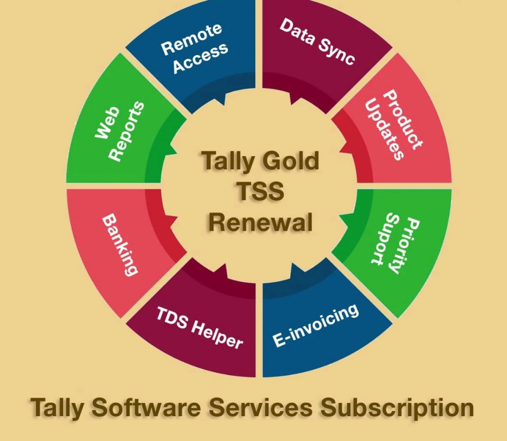 Tally Software Service