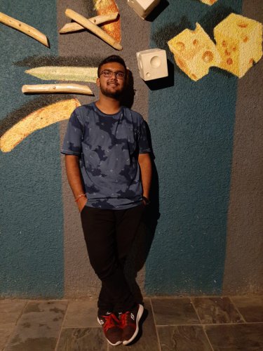 Mr. Dev 